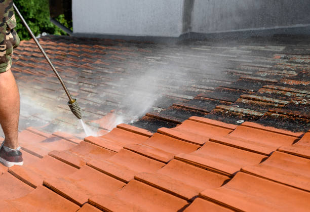 Best Commercial Building Pressure Washing  in Blackshear, GA