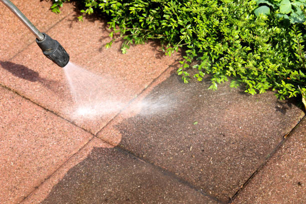 Best Best Pressure Washing Companies  in Blackshear, GA